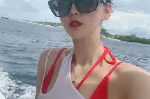 揭开“反特片”的经典面纱：10部谍战电影排名大揭秘