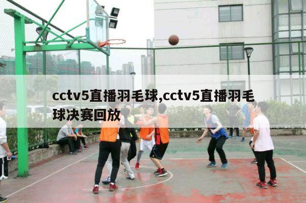 cctv5直播羽毛球,cctv5直播羽毛球决赛回放